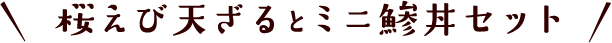 桜えび天ざるとミニ鯵丼セット