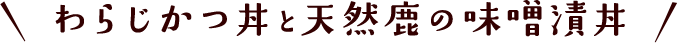 わらじかつ丼と天然鹿の味噌漬丼